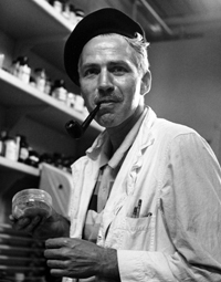 Ann Shulgin
