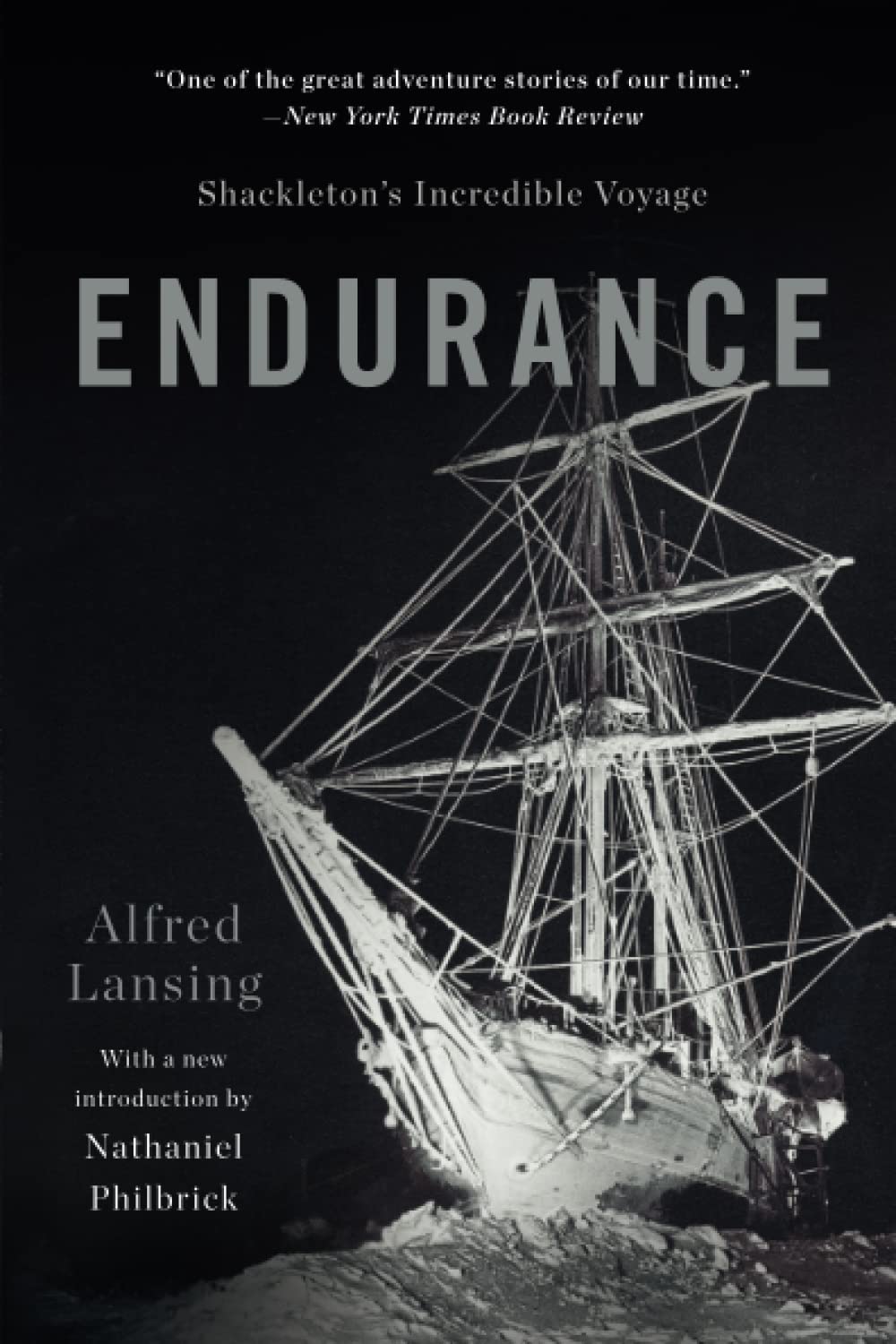 Endurance by Alfred - Book Cover